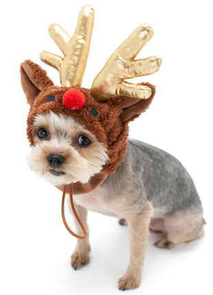 Rudolph Hat
