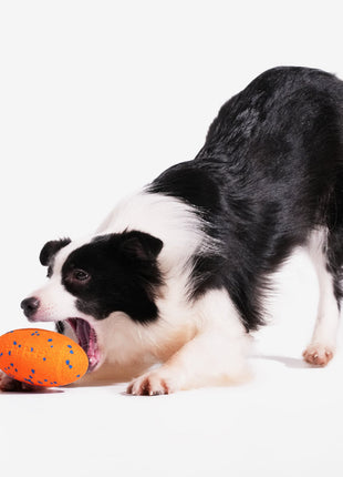 Wicked Rugby - Pup List