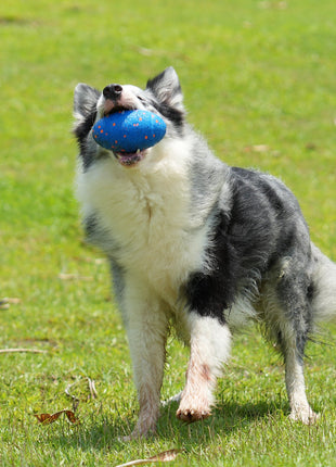 Wicked Rugby - Pup List