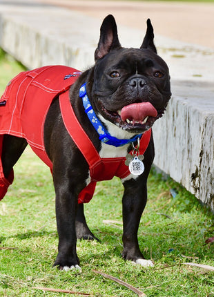 Parisian Pet 'Route 66 Jumpsuit' for Dogs and Cats, Fashionable Pet Jumpsuit for Parties, Red - Pup List