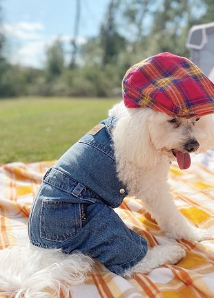 Parisian Pet 'Denim Overalls' – Durable and Trendy Pet Overalls for Dogs & Cats-Blue