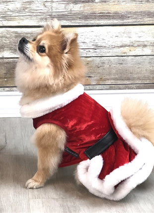 Parisian Pet 'Mrs. Claus Dress' Dog & Cat Shirt – Holiday Pet Dress, Perfect for Christmas – Red