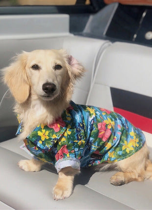 Parisian Pet 'Hawaiian Camp' Dog & Cat Shirt – Lightweight Cotton, Stylish Vacation Pet Apparel – Blue