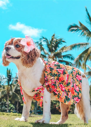 Parisian Pet 'Hawaiian Dress' Dog & Cat Shirt – Island-Themed Vacation Pet Apparel – Orange