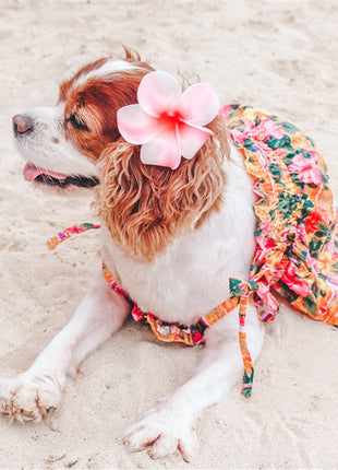 Parisian Pet 'Hawaiian Dress' Dog & Cat Shirt – Island-Themed Vacation Pet Apparel – Orange