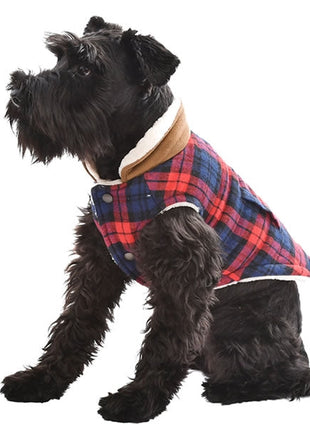 Parisian Pet 'Scottish Jacket' for Dogs & Cats, Plaid Pet Jacket, Formal Wear, Holiday Pet Jacket, Red/Blue Plaid