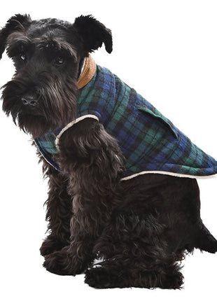 Parisian Pet 'Scottish Jacket' for Dogs & Cats, Designer Pet Jacket, Holiday & Christmas Wear-Saint Patrick's Day