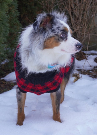 Parisian Pet 'Buffalo Checkered Sweater - Polar Bear' for Dogs and Cats - Cozy Winter Wear with Adorable Polar Bear Design Red and Black