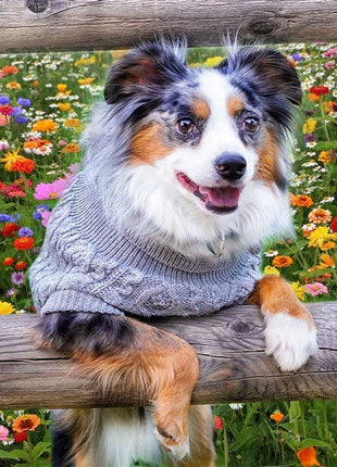 Parisian Pet 'Cable Knit Sweater' - Warm & Stylish Pet Sweater in Cloud Gray for Dogs & Cats