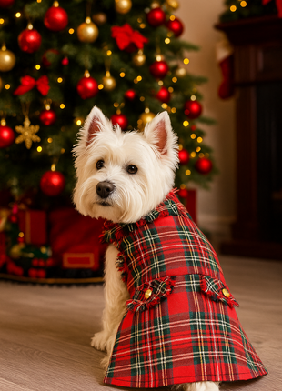 Parisian Pet 'Tartan Fringe Dress' Dog & Cat Shirt – Elegant Holiday Dog Dress – Red-Valentine's Day