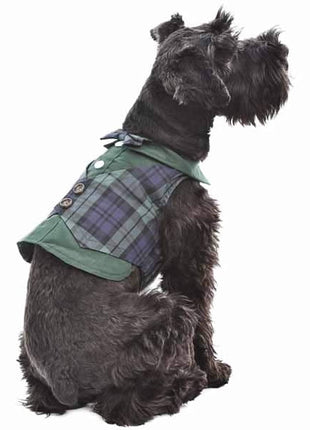 Parisian Pet 'Scottish Taffeta Tuxedo' for Dogs and Cats, Designer Formal Wear, Saint Patrick's Day