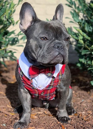 Parisian Pet 'Tartan Tuxedo White/Red' for Dogs and Cats, Stylish Christmas Formal Wear, Designer Pet Tuxedo