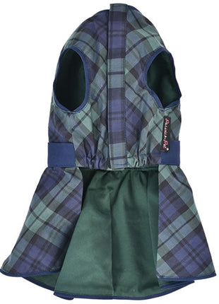Parisian Pet 'Scottish Taffeta Dress' Dog & Cat Shirt – Festive Holiday Plaid Dog Dress, Comfortable & Stylish – Green, Blue