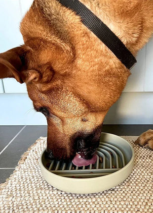 Slow Feeder Bowl/ Anti-Slip - Pup List