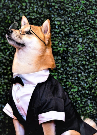 Parisian Pet 'Satin Party Tux' for Dogs and Cats, Designer Holiday Pet Tuxedo, Satin Formal Wear, Black & White-Valentine's Day