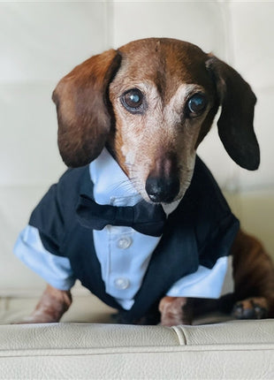 Parisian Pet 'Satin Party Tux' for Dogs and Cats, Designer Holiday Pet Tuxedo, Satin Formal Wear, Black & White-Valentine's Day