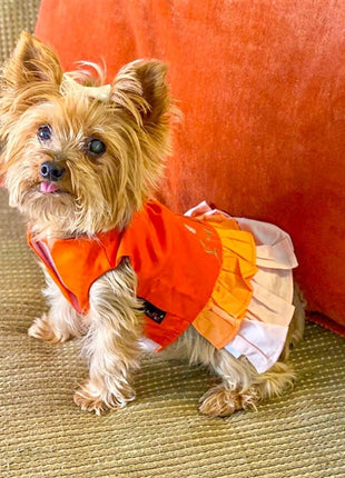 Parisian Pet 'Color Block Garden Dress' for Dogs and Cats, Comfortable and Stylish, Summer Outfit, Orange