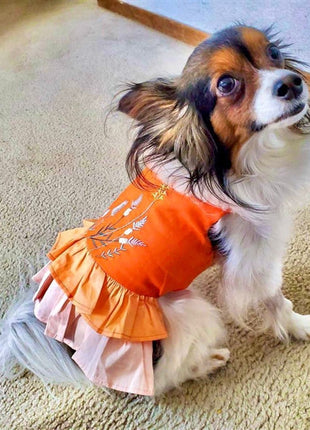 Parisian Pet 'Color Block Garden Dress' for Dogs and Cats, Comfortable and Stylish, Summer Outfit, Orange