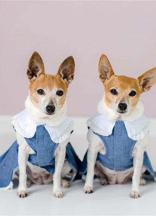 Parisian Pet 'Prairie Dress' for Dogs and Cats, Floral Design, Comfortable Lightweight Outfit, Denim & White