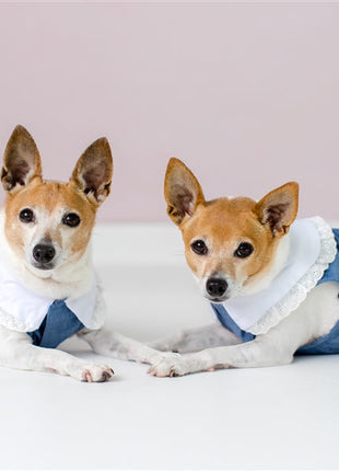 Parisian Pet 'Prairie Dress' for Dogs and Cats, Floral Design, Comfortable Lightweight Outfit, Denim & White