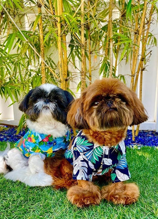 Parisian Pet 'Palm Leaves' Dog & Cat T-Shirt – Trendy Tropical Summer Pet Clothing, Comfortable & Lightweight - Blue & White