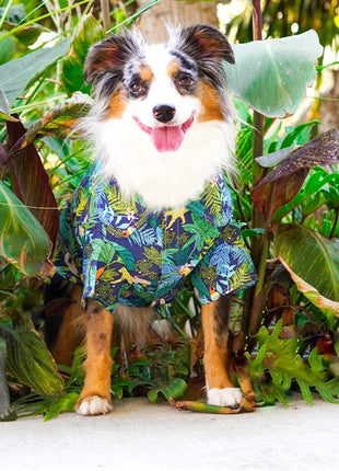 Parisian Pet 'Amazonia' Dog & Cat T-Shirt – Trendy Cotton, Comfortable & Lightweight Summer Pet Apparel - Saint Patrick's Day