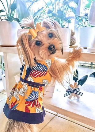Parisian Pet 'Designer Dog Dress' for Dogs and Cats, Leaf Pattern, Lightweight Summer Outfit, Multicolor, Yellow, White, Blue, Red
