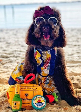 Parisian Pet 'Designer Dog Dress' for Dogs and Cats, Leaf Pattern, Lightweight Summer Outfit, Multicolor, Yellow, White, Blue, Red