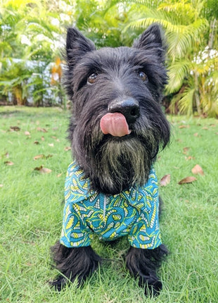 Parisian Pet 'Tribal' Dog & Cat T-Shirt – Lightweight Cotton, Stylish & Comfortable Summer Apparel - Saint Patrick's Day