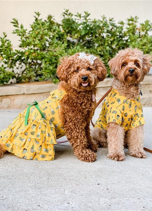 Parisian Pet 'Cactus Tiered Dress' Dog & Cat Shirt – Tropical Summer Outfit – Yellow