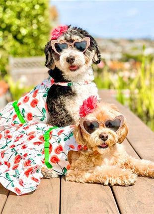 Parisian Pet 'Red Poppies Boho Dress' Dog & Cat T-shirt – Adjustable Floral Pet Dress, Perfect for Summer - Red, White, Green-Valentine's Day