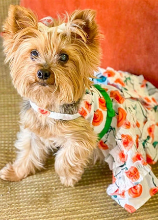 Parisian Pet 'Red Poppies Boho Dress' Dog & Cat T-shirt – Adjustable Floral Pet Dress, Perfect for Summer - Red, White, Green-Valentine's Day