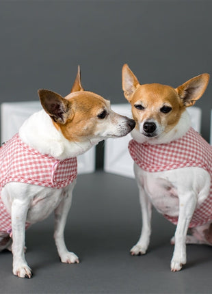 Parisian Pet 'Gingham Countryside Dress' Dog & Cat Shirt – Elegant Country Style Dog Dress –Red- Valentine's Day