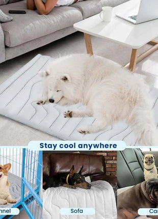 Dog Ice Mat Double-Sided Cooler Dog Mat Gentle Wear Resistant Pet Ice Pad