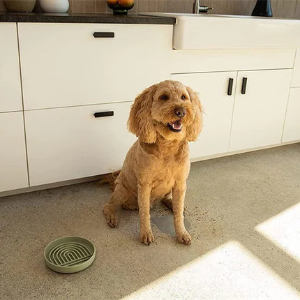 Slow Feeder Bowl/ Anti-Slip - Pup List