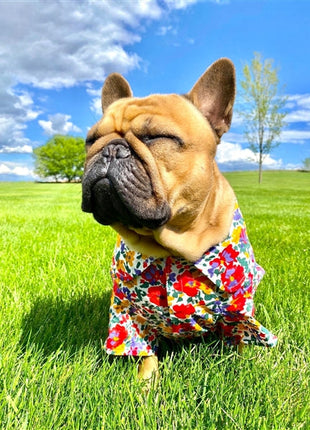 Parisian Pet 'Floral Artsy' Dog & Cat Camp Shirt – Trendy Embroidered Cotton Apparel, Comfortable & Stylish-Valentine's Day