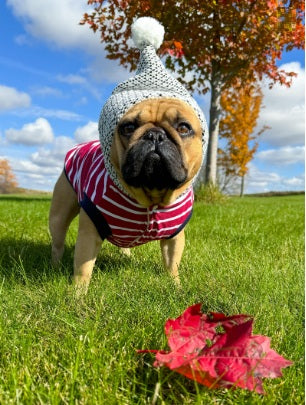 Parisian Pet 'Striped Pom Pom Hoodie', Red – Soft & Fashionable Pet Hoodie with Playful Pom Pom Design - Pup List