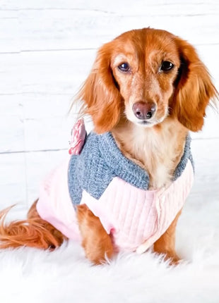 Parisian Pet 'Fancy Flower Quilted Jacket' for Dogs & Cats, Warm Pet Outerwear, Quilted Floral Dog Jacket - Valentine's Day - Pup List