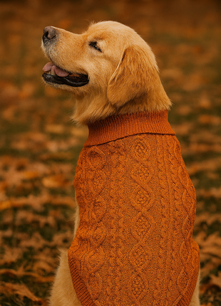 Parisian Pet 'Cable Knit Sweater' - Warm & Stylish Pet Sweater in Terracotta for Dogs & Cats