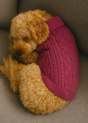 Parisian Pet 'Cable Knit Sweater' - Warm & Stylish Pet Sweater in Raspberry for Dogs & Cats-Valentine's Day
