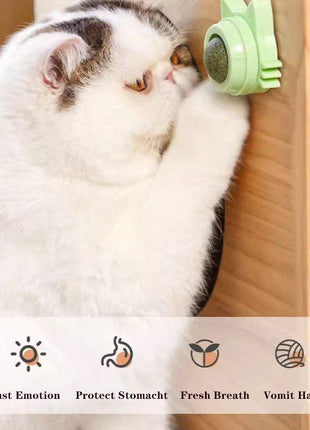 Catnip Rolling Ball