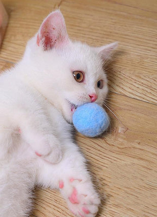12Pcs/lot Stretch Plush Ball Toys for Cats Colorful Interactive Cat Pom Pom