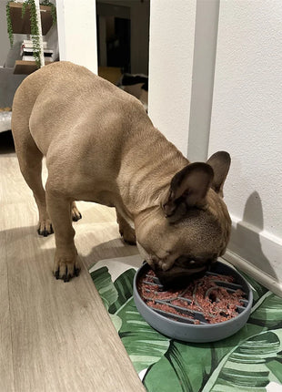 Slow Feeder Bowl/ Anti-Slip - Pup List