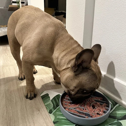 Slow Feeder Bowl/ Anti-Slip - Pup List