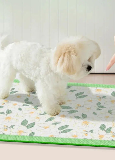 Absorbent & Disposable Puppy Training Pee Pads