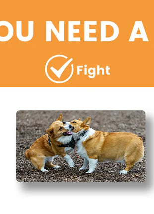 Furniture Large Wooden Dog Crate Indoor Elevated Dog Kennel End Table Lattice Playpen with 3 Doors Removable Tray