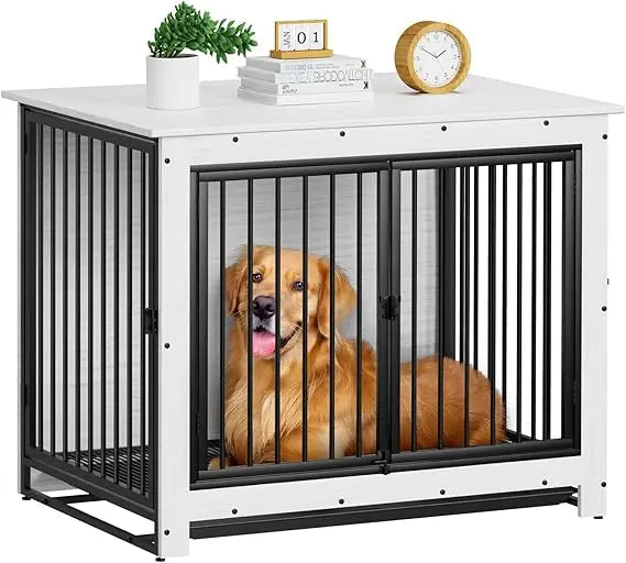Dog in a black metal crate with a white top, surrounded by books and a plant on a white background