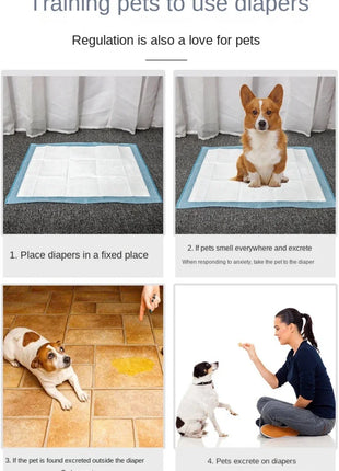 Absorbent Pee Pads for Puppy Training & Senior Pups