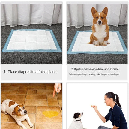Absorbent Pee Pads for Puppy Training & Senior Pups