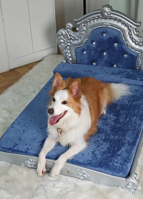 Luxury Pet Bed with Headboard, Washable Dutch Velvet Cover, Dog and Cat Bed